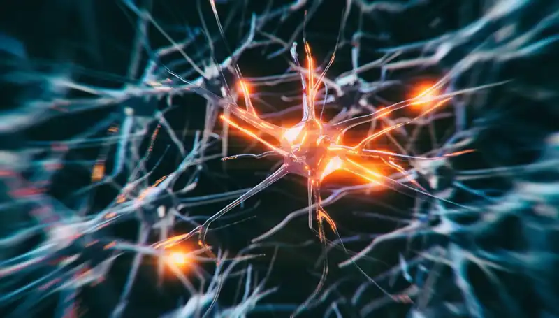 Alzheimer Vakalarının Artış Nedenleri: Bilimsel Gelişmeler ve Toplumsal Etkiler