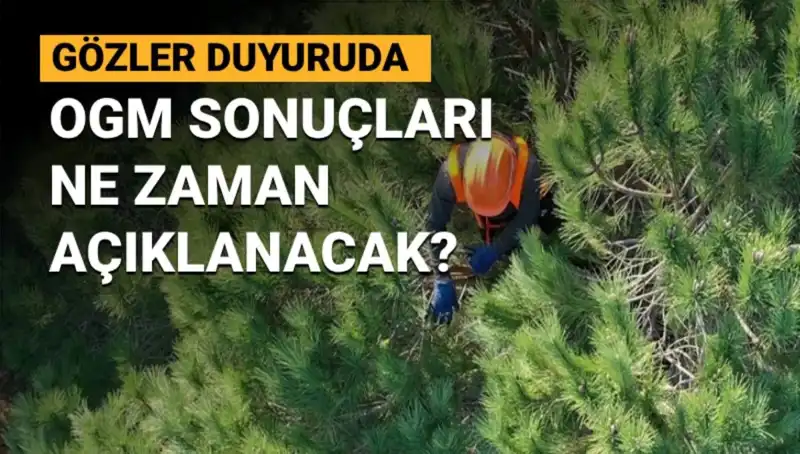 OGM 3 Bin 477 Sözleşmeli Personel Alımı: Başvuru Sonuçları Ne Zaman Açıklanacak?