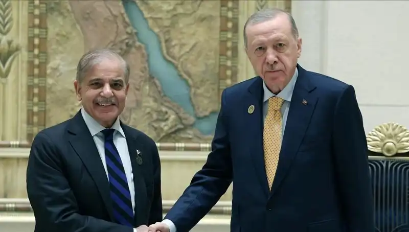 Cumhurbaşkanı Erdoğan ve Pakistan Başbakanı Şerif'in İstanbul Zirvesi Neleri Hedefliyor?