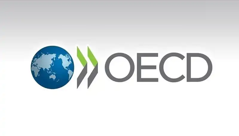 OECD Türkiye İçin Büyüme Tahminlerini Yeniden Belirledi: Ekonomi Nereye Gidiyor?