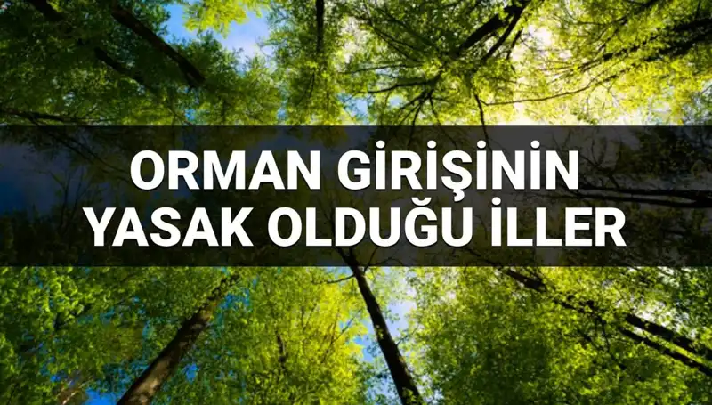 2025’te Orman Girişi Yasaklanan İller: Hangi Bölgeler Etkilenecek?