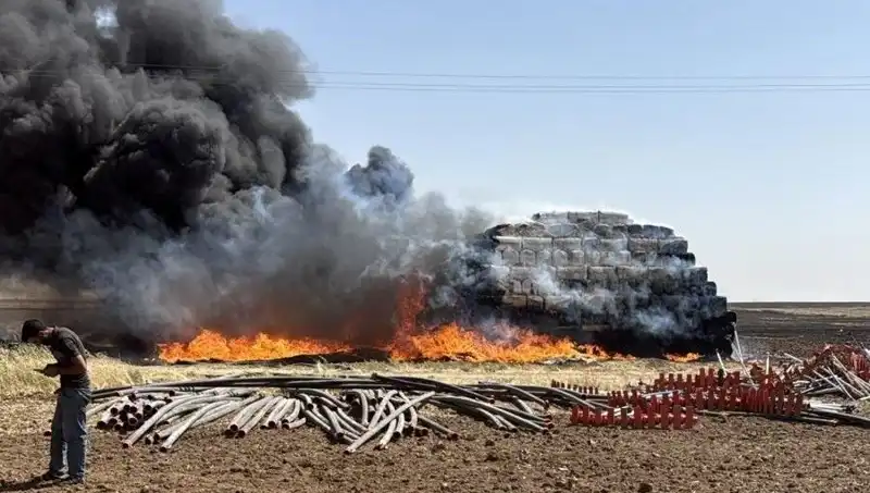 Mardin'de Anız Yangınları: Bölgedeki Tarım Üzerindeki Etkileri