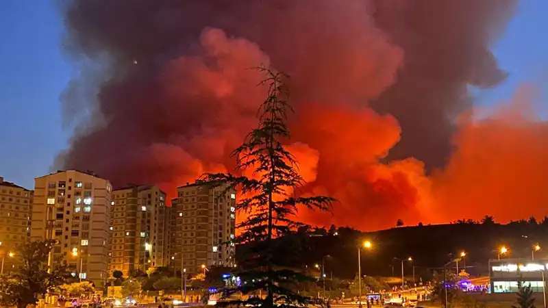 Bursa’da Yangınlar Alarma Geçirdi: Neden ve Sonuçları Üzerine Değerlendirme