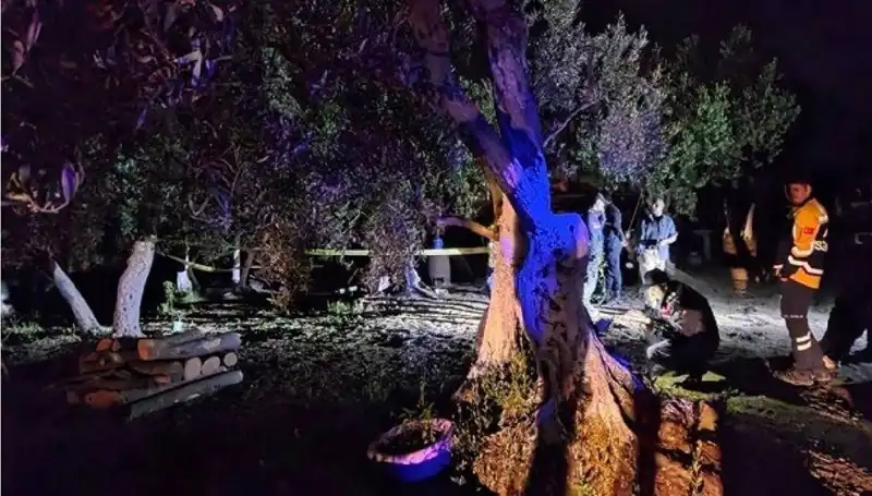 Çiftlikteki Baltalı Vahşete Sona Erildi: Tutuklamalar Gerçekleşti