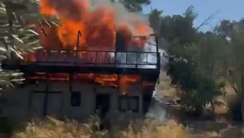 Bodrum'da Yangın Alarmı: Ekipler Seferber Oldu, Tatilciler Endişelendi