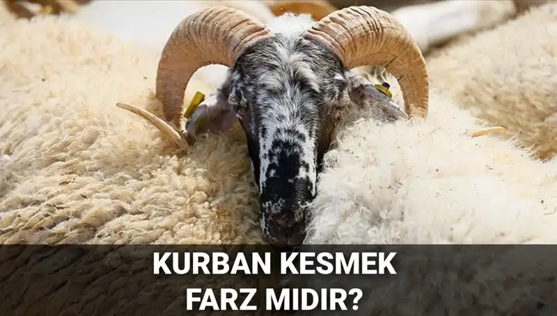 Kurban Kesmek Farz mı? İşte Diyanet'e Göre Hükmü ve Şartları