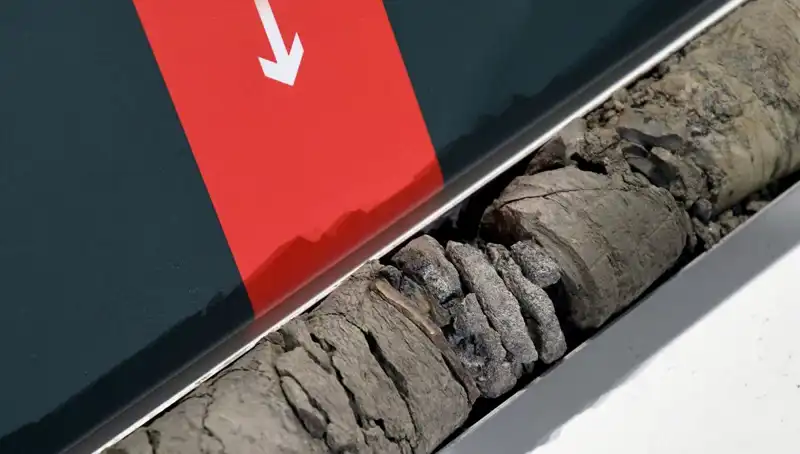 Müze Otoparkında Şok Eden Dinozor Fosili Keşfi: Geçmişe Yolculuk!