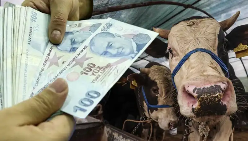Kurban Bayramı Öncesi Maaşlar Ne Zaman Yatacak? İşte Detaylar!