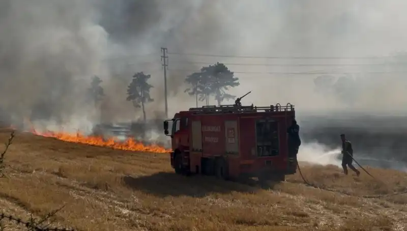 Kırklareli'nde Anız Yangını Korku Dolu Anlar Yaşattı