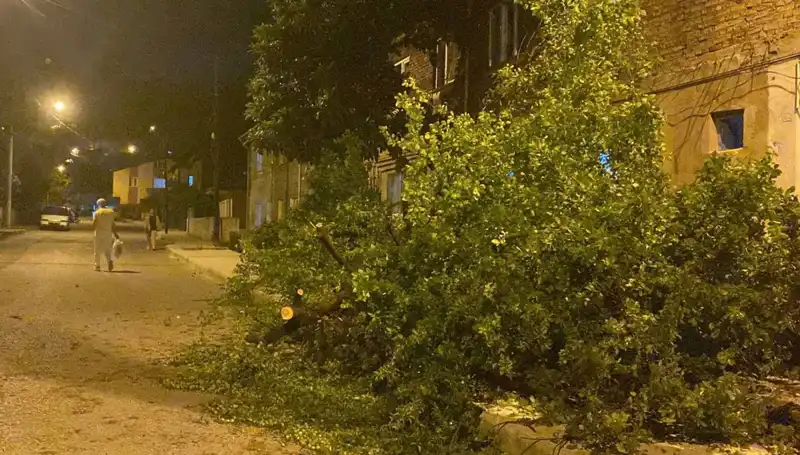 Karabük'te Şiddetli Fırtına: Zarar Görenler ve Son Gelişmeler