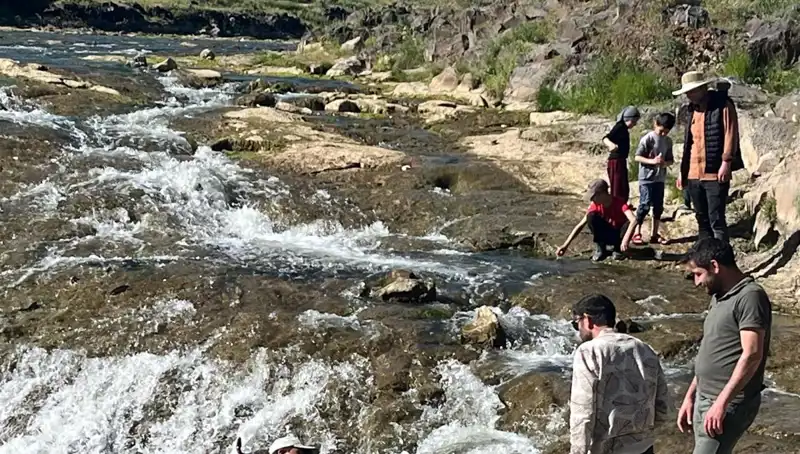 İnci Kefali Göçü: Doğanın Harikası ve Turistlerin Büyüsü