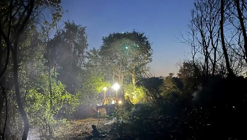 Edirne Orman Yangını Kontrol Altına Alındı: Doğanın Yeniden Canlanma Mücadelesi