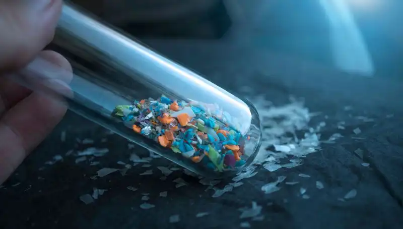 Mikroplastiklerin Şaşırtıcı Yolculuğu: İnsan Beyninde Yüzlerce Yıl Kalabilir Mi?