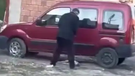 Sokakta Gözüken Şiddet: Köpeklere Yönelik Cinsiyetçi Tutumlar Neden Yaygınlaşıyor?