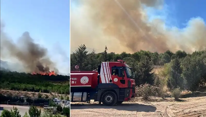 Gebze Orman Yangını: Doğa Harikası Talan mı Ediliyor?